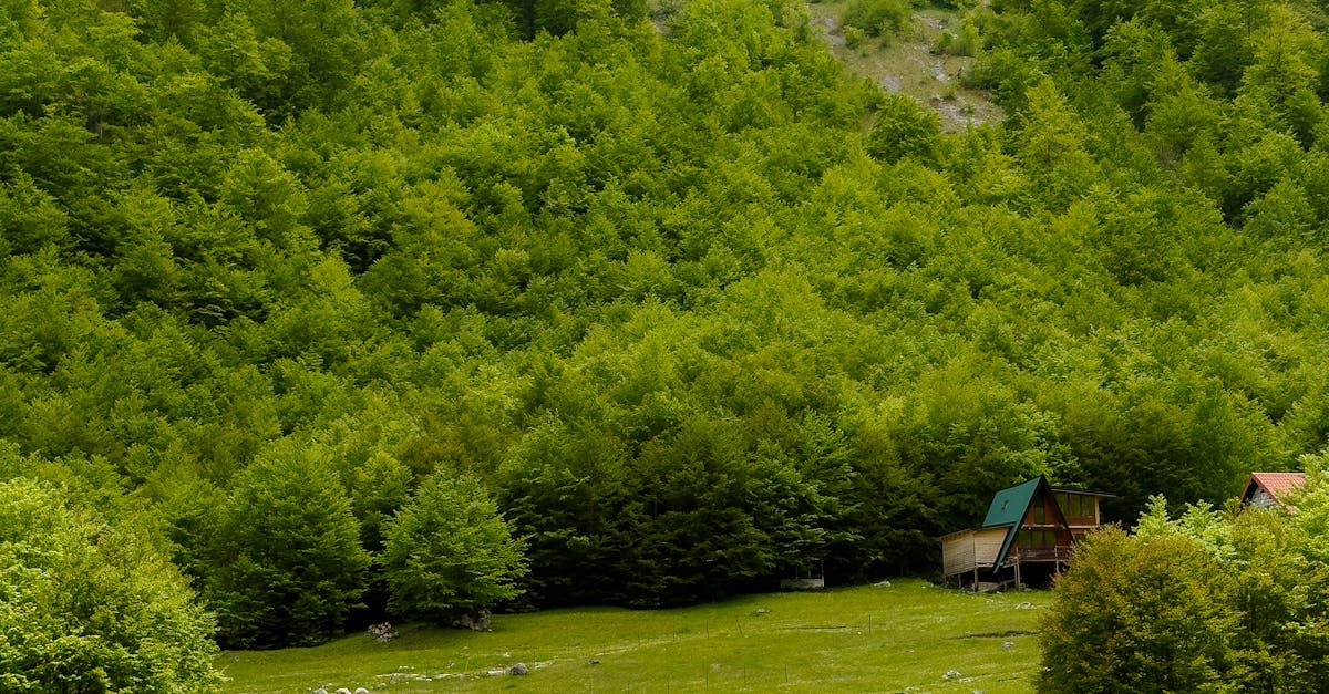 Hearthside Cabin Rentals