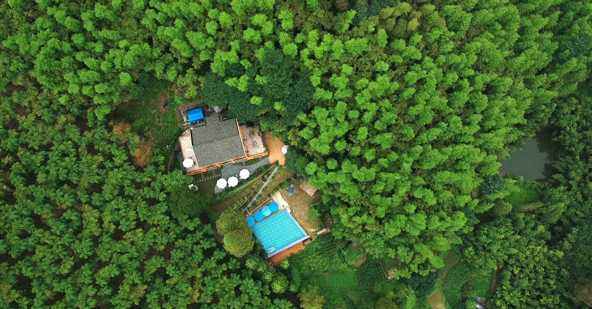 Cabin Rentals Sevierville TN